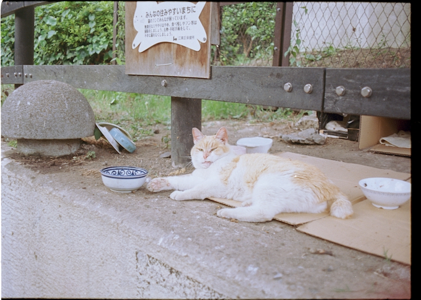 G.Zuiko Auto-W 25mm f2.8